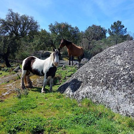 Magic Nature Lodge Marvão 外观 照片