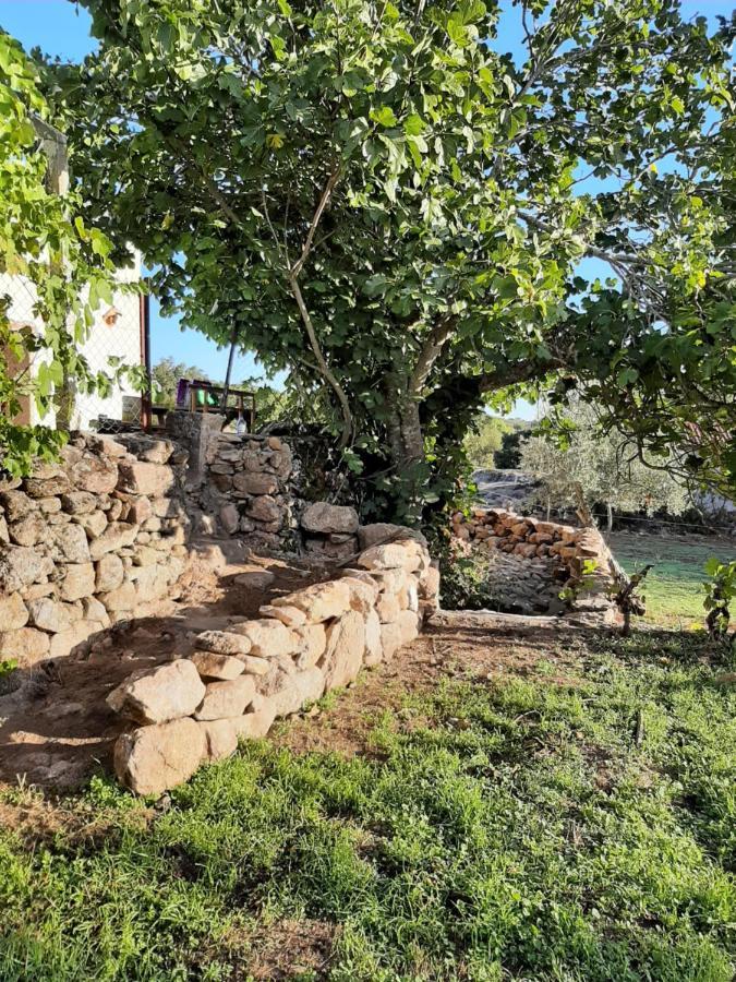Magic Nature Lodge Marvão 外观 照片