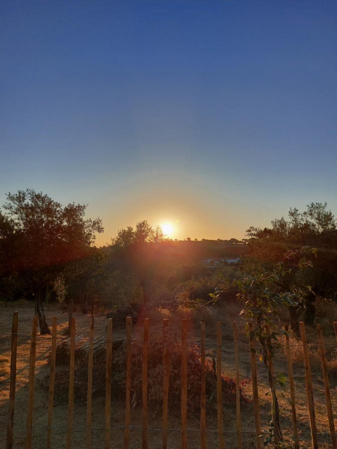 Magic Nature Lodge Marvão 外观 照片