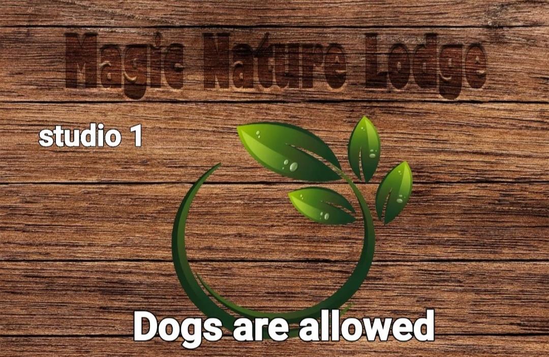 Magic Nature Lodge Marvão 客房 照片